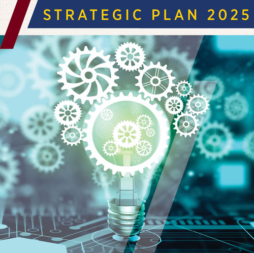 Strategic plan 2025