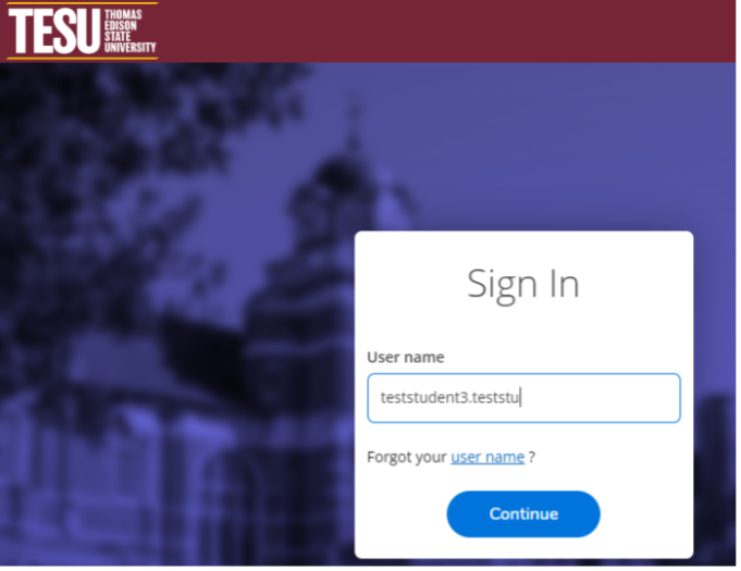 A screenshot of the sign in process in the TESU Self-service portal