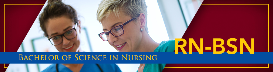 Bachelor of Science in Nursing