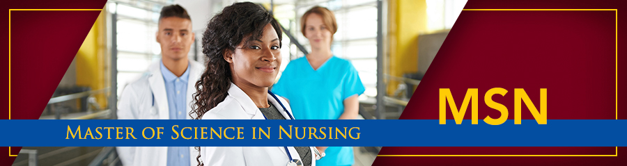 Master of Science in Nursing (MSN)